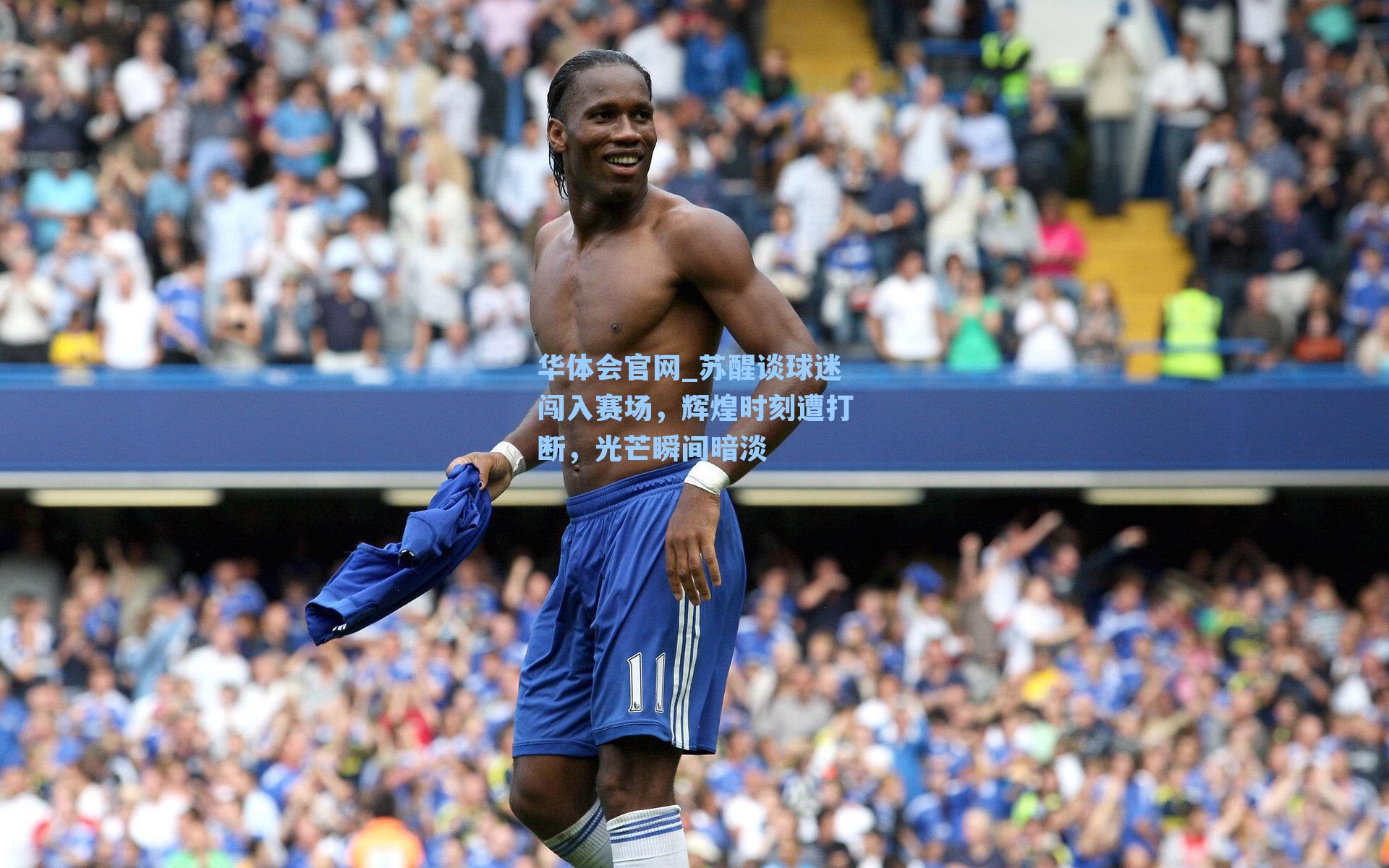 苏醒谈球迷闯入赛场，辉煌时刻遭打断，光芒瞬间暗淡