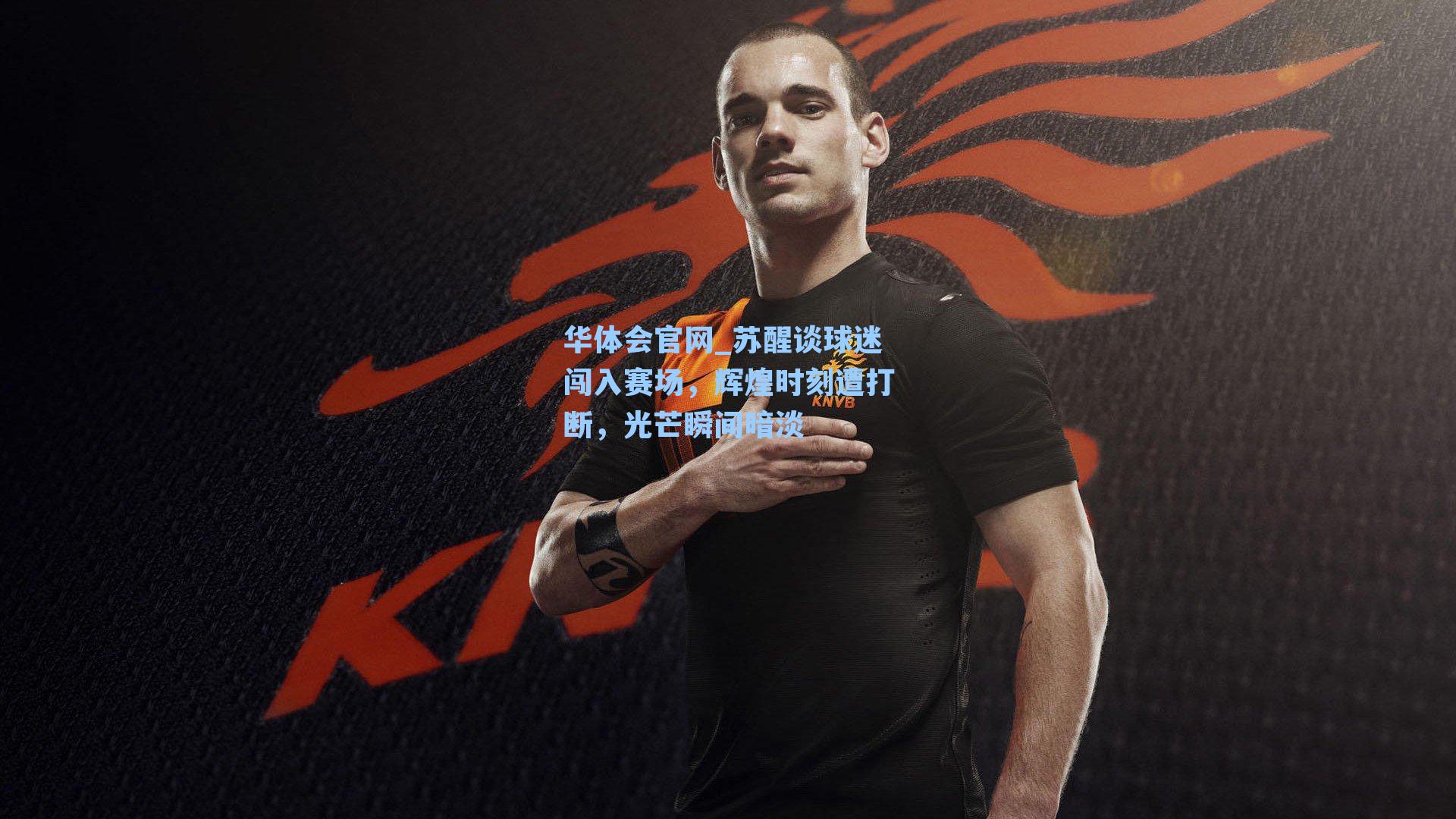 苏醒谈球迷闯入赛场，辉煌时刻遭打断，光芒瞬间暗淡