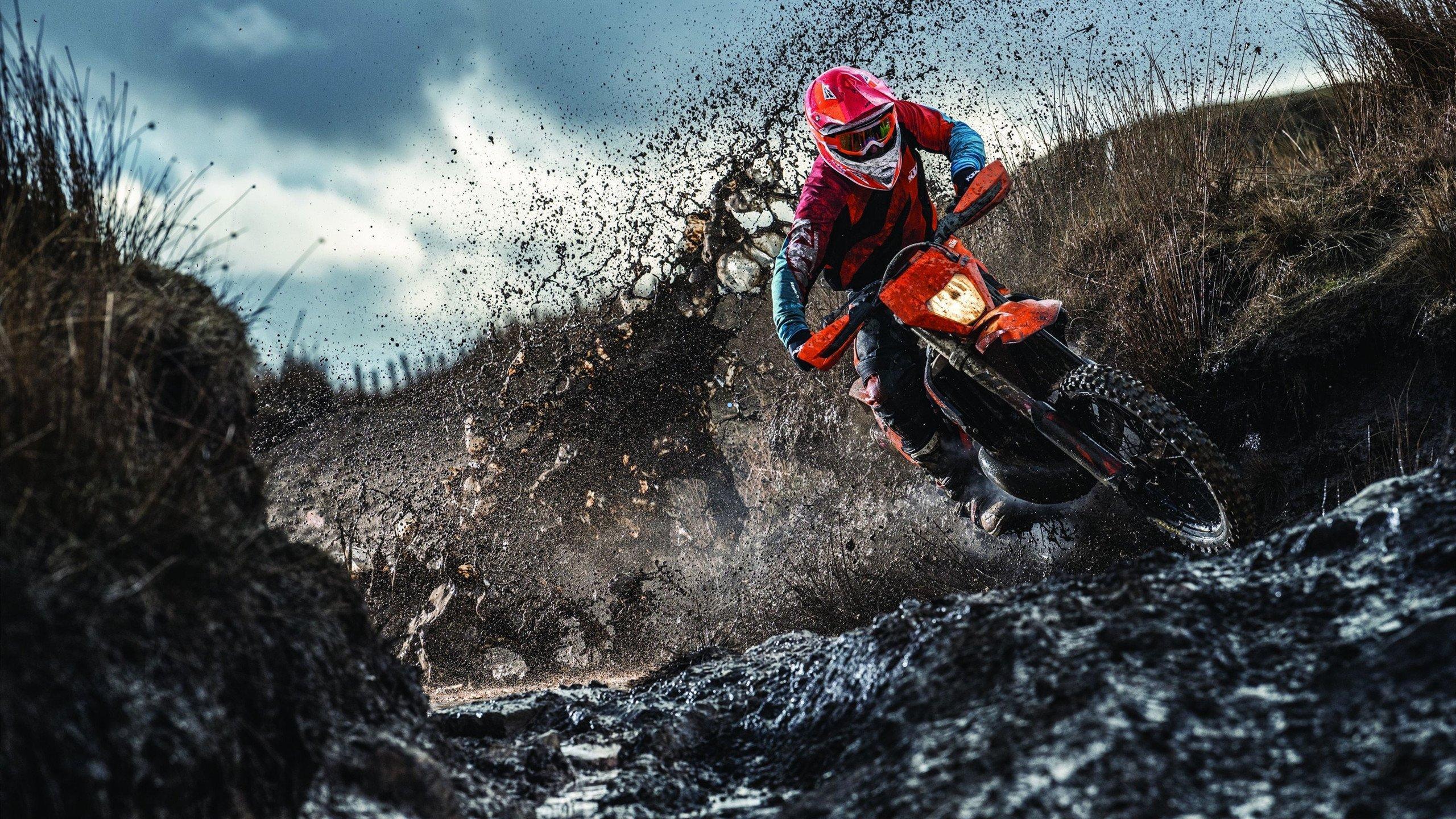 贾马尔-穆雷的终极宣言，全明星、得分王与MVP，我全都要！