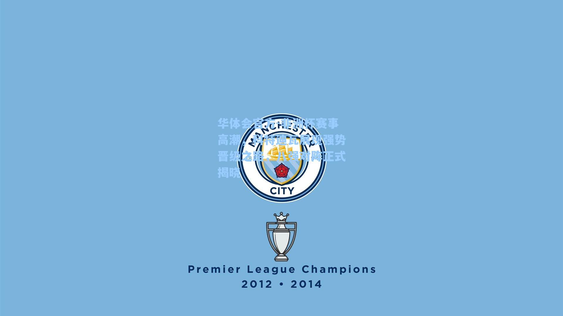 非洲杯赛事高潮，科特迪瓦展现强势晋级之路，八强对阵正式揭晓